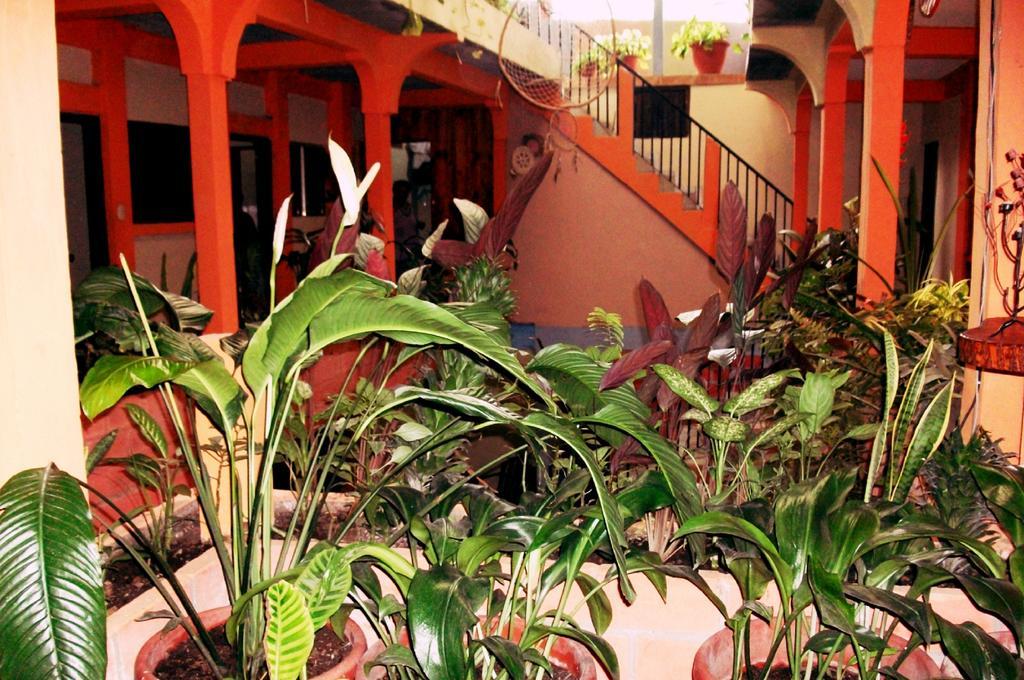 Hotel & Hostal Yaxkin Copán 객실 사진