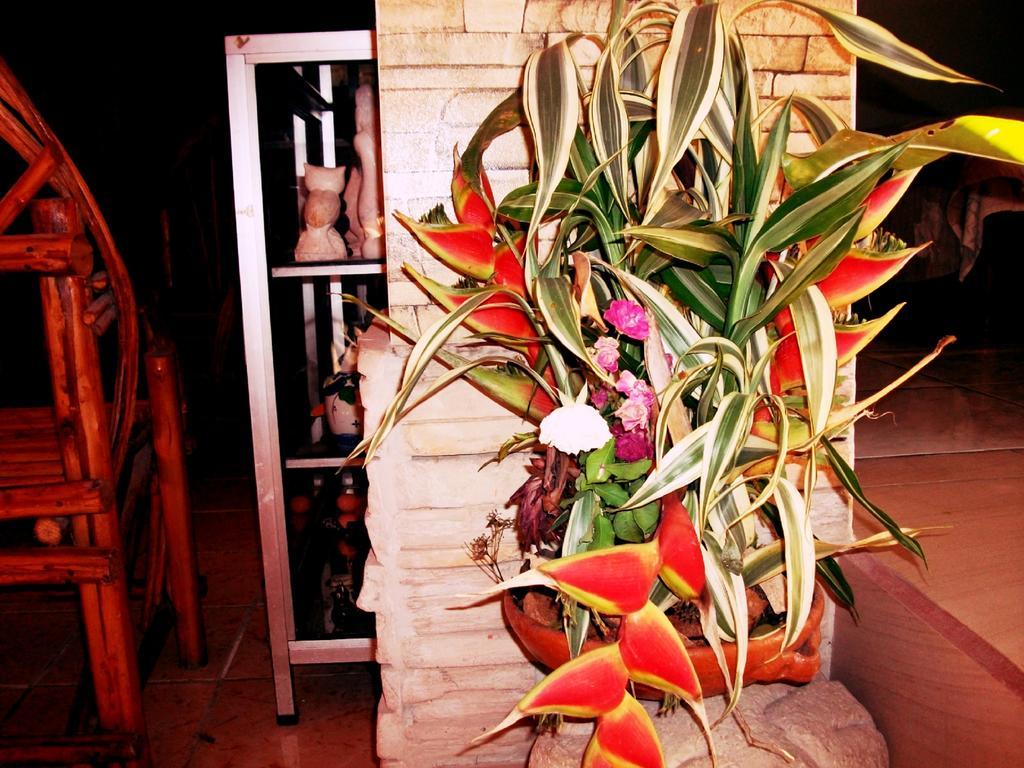 Hotel & Hostal Yaxkin Copán 외부 사진